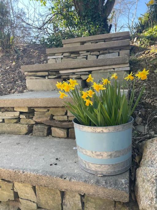 Saint Wenn Cosy Rustic Annex In Quiet Cornwall Village מראה חיצוני תמונה